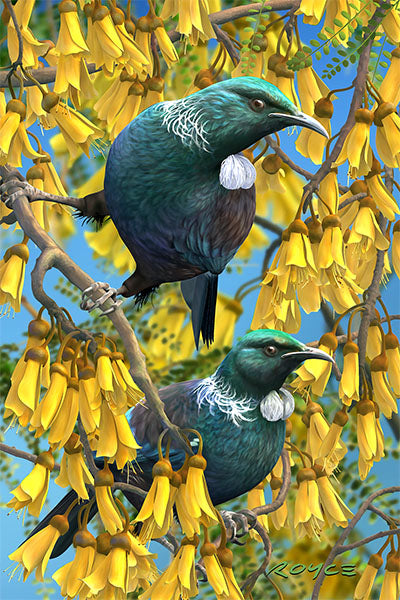 Postcards - Tui