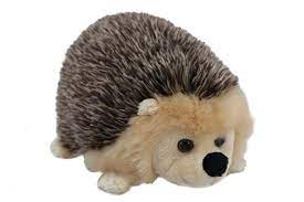 Antics: Hayley Hedgehog
