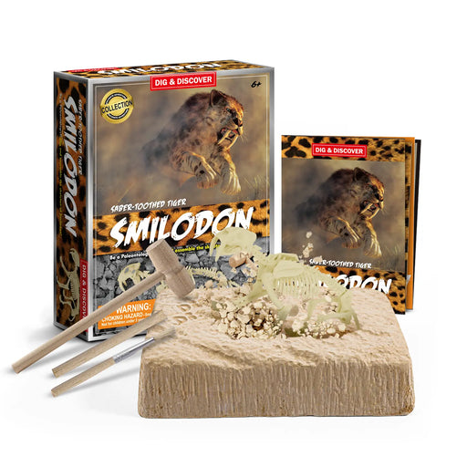 Piano Potato - Smilodon (Saber-Tooth Tiger) Dig Kit
