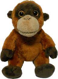 Antics: Wild Mini Orangutan