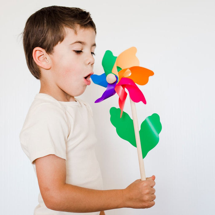 Seedling - Windmills