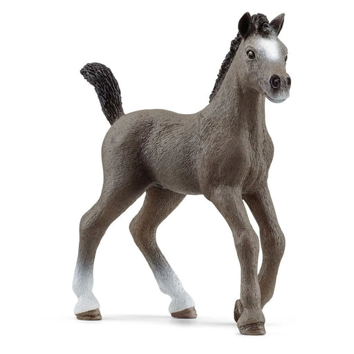 Schleich - Selle Francais Foal