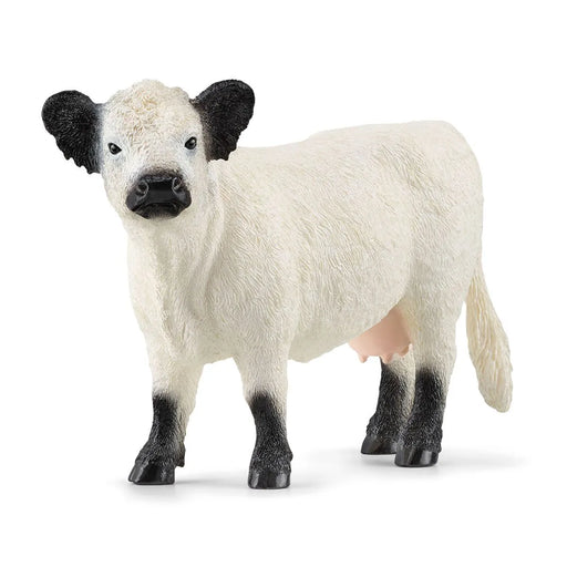 Schleich - Galloway Cow