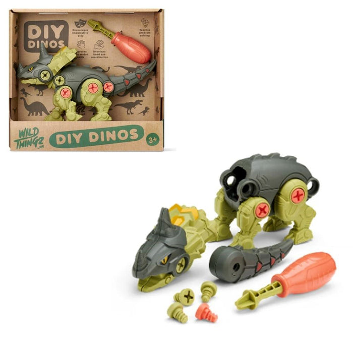 Kid Antics - Wild Things Jnr DIY Dino Centrosaurus
