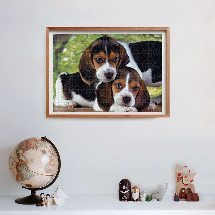 Clementoni - Close Together Puzzle - Beagle Puppies 500 pcs