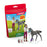 Schleich - Horse Care Playset with Trakehner Foal