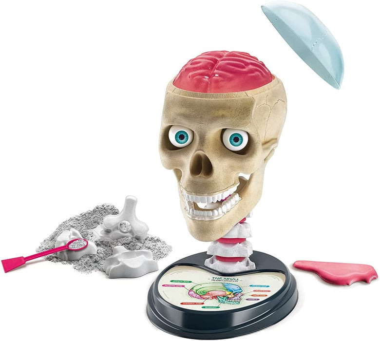 Clementoni Science & Play - Crazy Anatomy