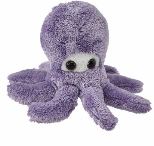Antics: Wild Mini Octopus
