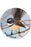 NZ Coasters - Native Birds