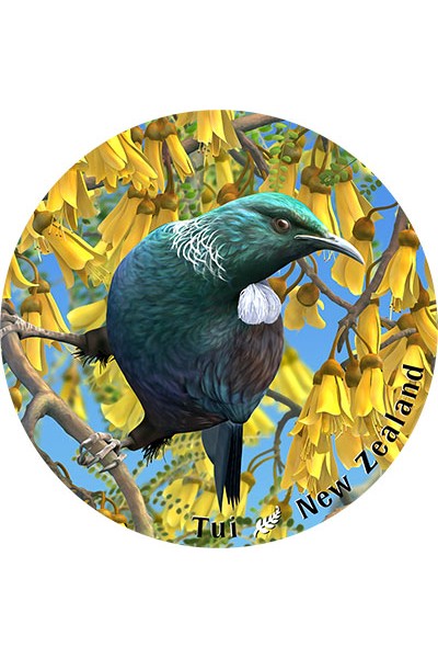 NZ Coasters - Native Birds