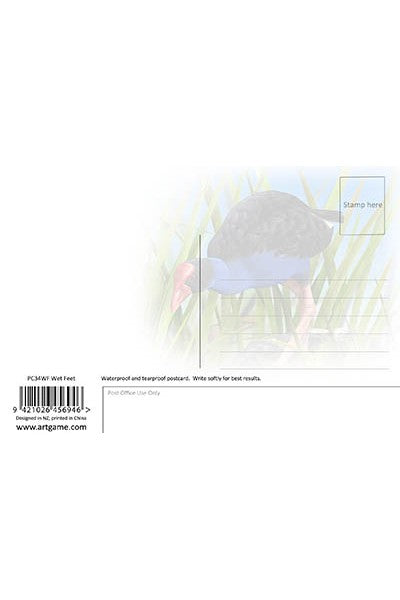 Postcards - Wet Feet (Pukeko)