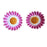 Wildside ER110 - Pink Daisy Drop Earrings