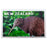 NZ Magnet - Foil Magnet Kiwi