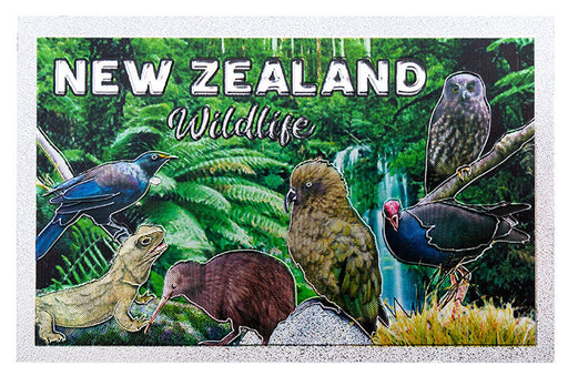 NZ Magnet - Foil Magnet New Zealand Wildlife