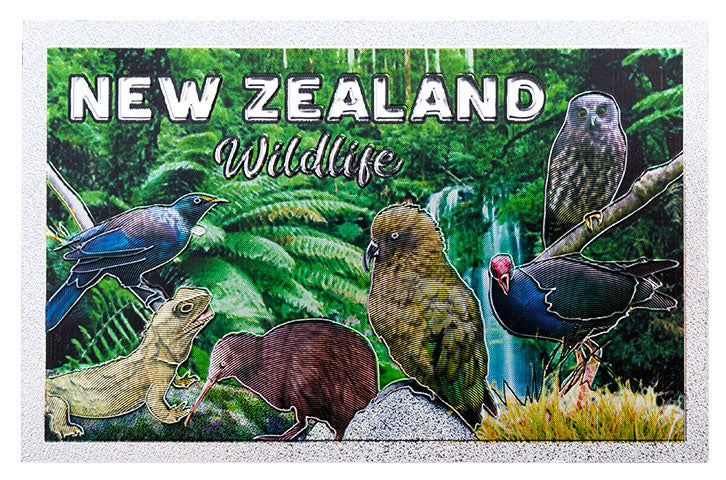 NZ Magnet - Foil Magnet New Zealand Wildlife