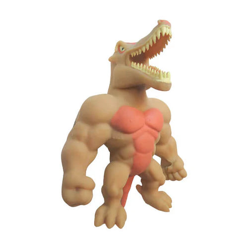 Funky Box - Dino Monster Flex Diramix Characters