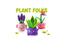 Hey Clay - Plant Folks