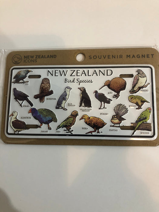 NZ Magnet - License Plate Bird Species of New Zealand