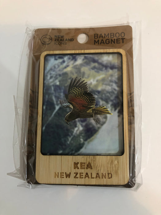 NZ Bamboo 2-Layer Magnet - Kea