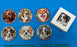 JGB - Coaster Set - 6 Dogs