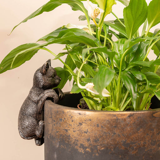 Jardinopia Pot Buddies - Antique Bronze Cat