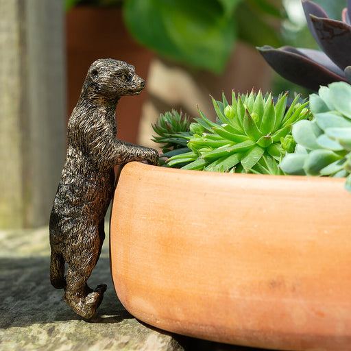 Jardinopia Pot Buddies - Antique Bronze Meerkat