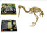 New Zealand Kiwi Skeleton Wooden Kitset
