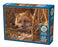 Cobble Hill Puzzle: Touch of Warmth 500pcs