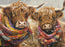 Cobble Hill Puzzle: Brrr! 500pcs