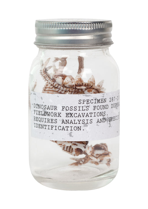 Seedling - Dino Fossils in a Jar