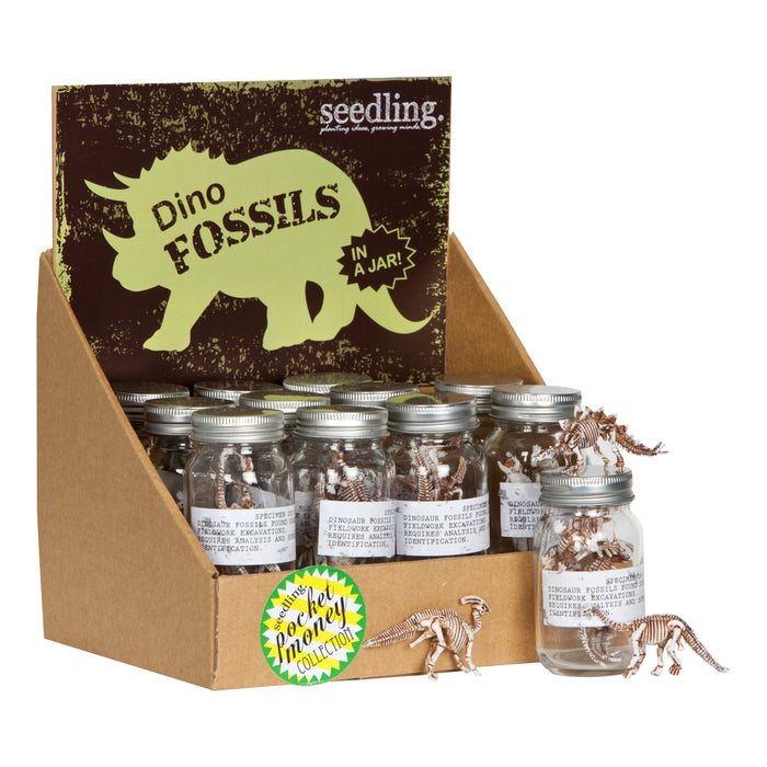 Seedling - Dino Fossils in a Jar