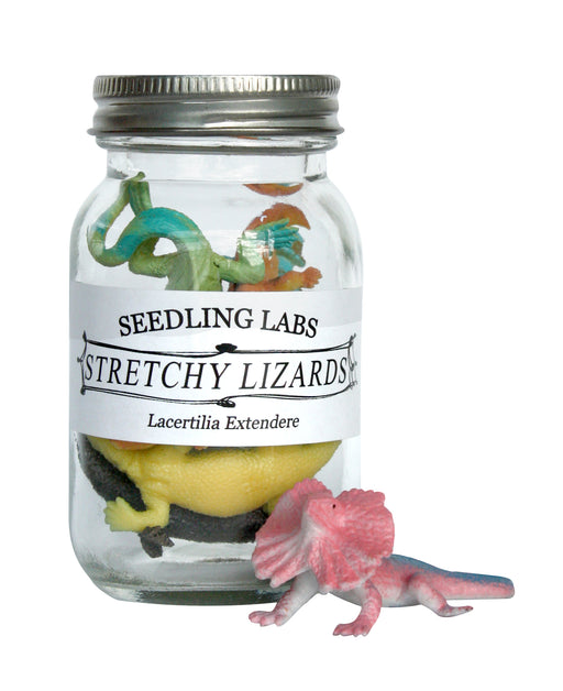Seedling - Super Stretchy Lizards in a Jar