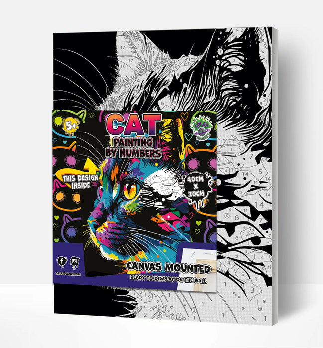 Paint by Numbers - Bright Cat