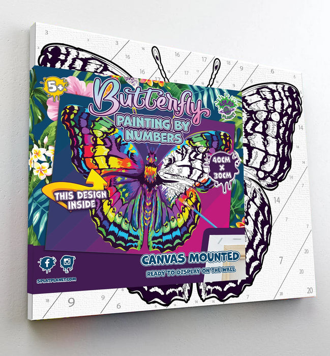 Paint by Numbers - Butterfly