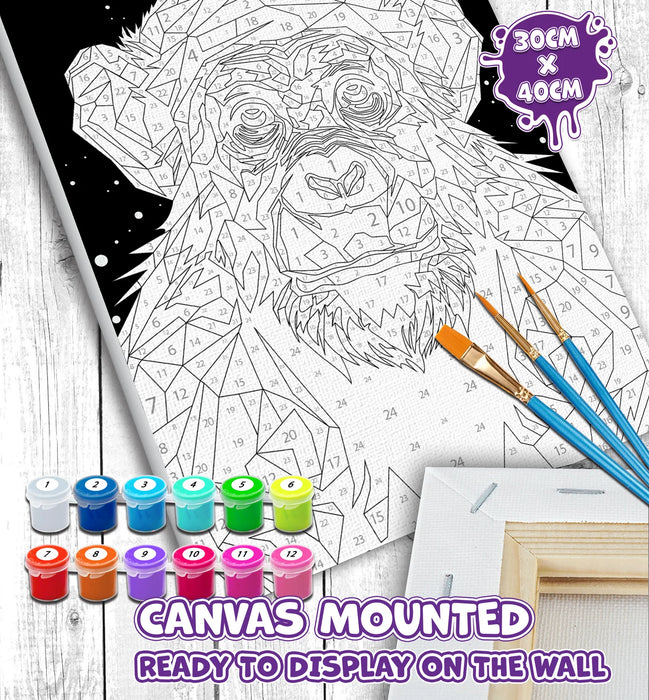 Paint by Numbers - Chimpanzee