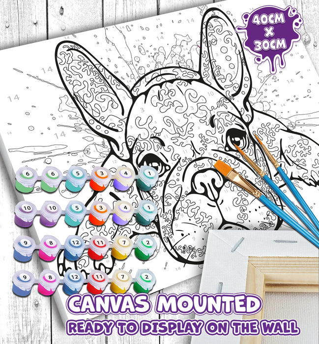 Paint by Numbers - French Bulldog Pop Art