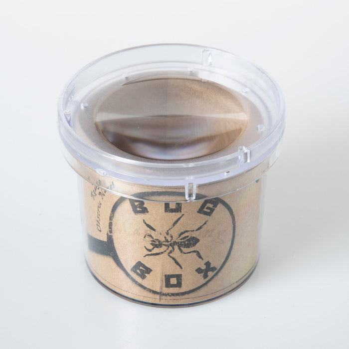 Seedling - Magnifying Bug Box