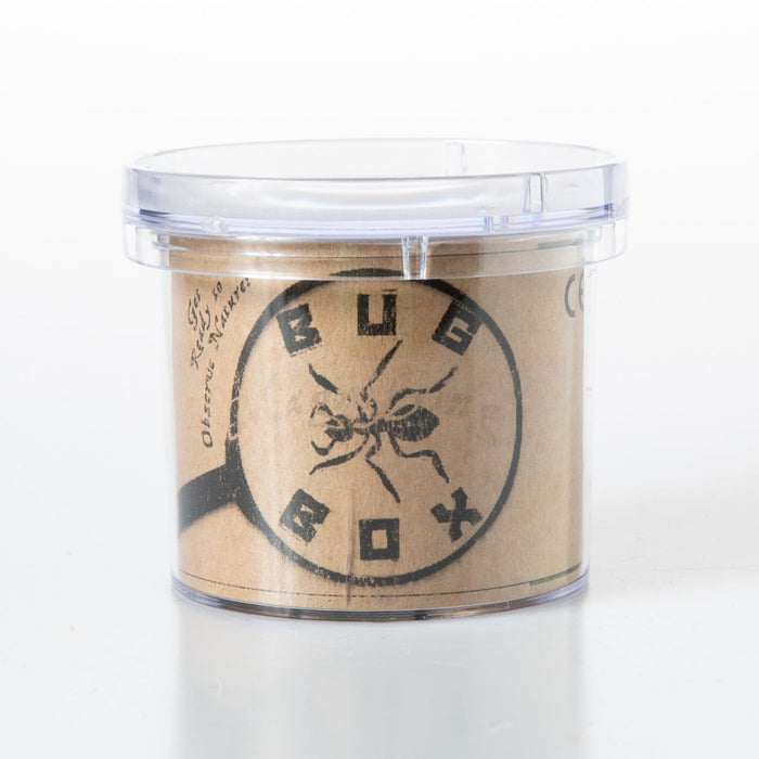 Seedling - Magnifying Bug Box