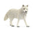 Schleich - Arctic Wolf (New 2025)