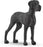 Schleich - Great Dane