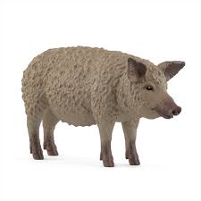 Schleich - Mangalica Pig (New 2025)