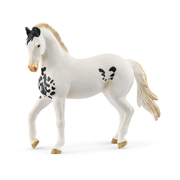 Schleich - Marwari Stallion (new 2025)