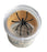 Seedling - Magnifying Bug Box