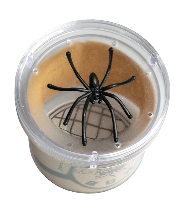 Seedling - Magnifying Bug Box