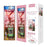 Tonecheer Book Nook Kit - Sakura's Travel