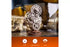 Ugears: Mechanical Models - Steampunk Clock 2.0