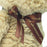 Disney Baby - Classic Winnie the Pooh Bear