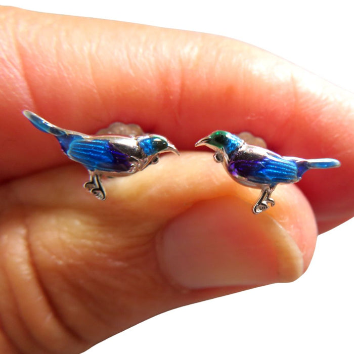 Wildside XP79 - Silver on Stainless Steel Enamel Tui Stud Earrings