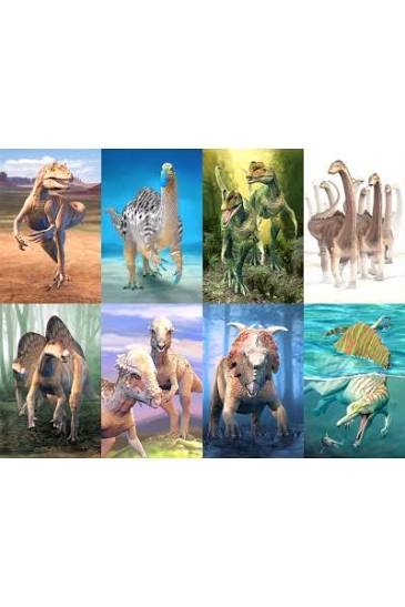 Dinosaur Fact Cards - Blue