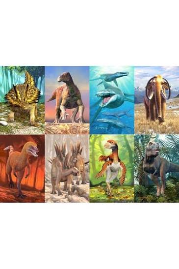 Dinosaur Fact Cards - Green